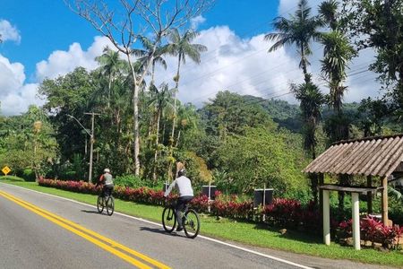 Private Cycling Tour to Morretes - via Estrada da Graciosa / including transfer from Curitiba