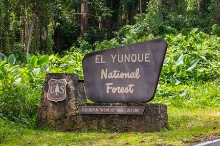 El Yunque National Rainforest and Luquillo Beach Tour
