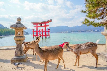 From Tokyo Hiroshima and Miyajima Day Trip by Bullet Train