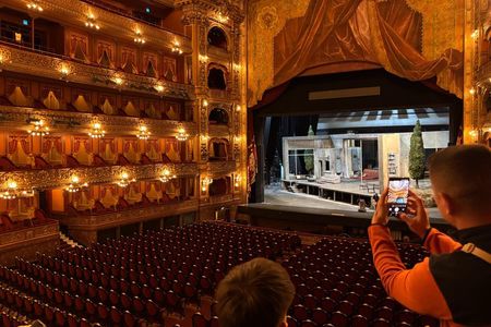 Buenos Aires Walking Tour Including Colon Theatre and MALBA Museum