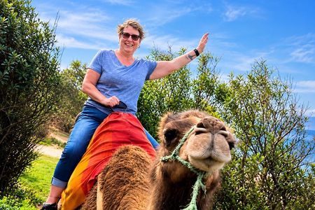 Tangier Private Full-Day Tour: Camel Ride, Kasbah & Caves