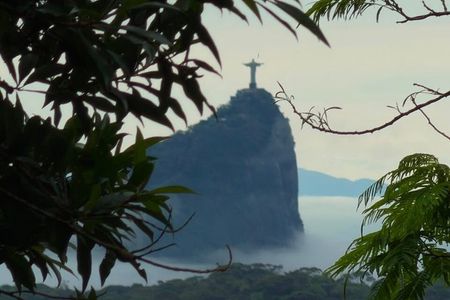 Tijuca Forest: City Views, Waterfall, and Wildlife
