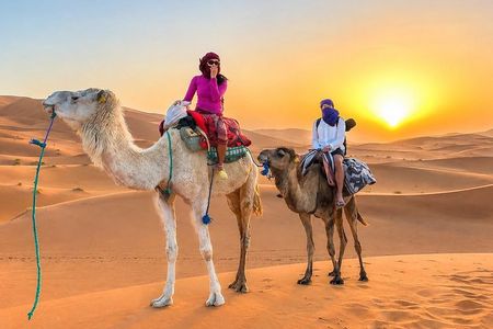 From Marrakech: 3-Day Merzouga Sahara Desert Tour, Camp & Camel