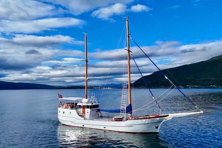 Tromsø Luxury Sailing Yacht Summer Fjord Cruise with Lunch