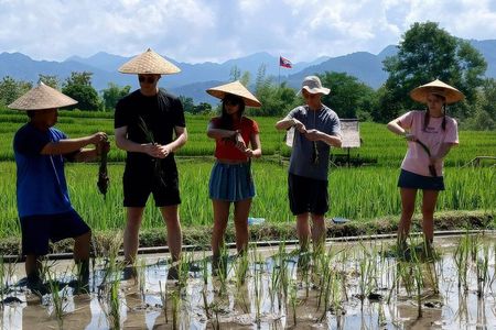 Luang Prabang: Rice Farming Experience, Optional Kuang Si falls