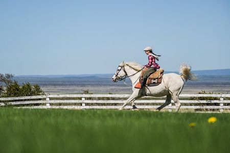 Half Day Horse Connection Experience near Puerto Natales