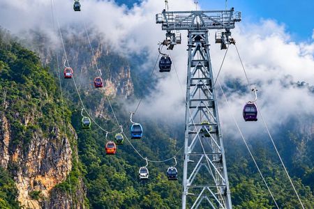 Langkawi Mangrove Cable Car and Sky Bridge Tour