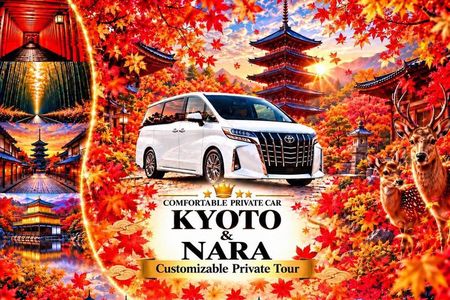 Kyoto & Nara Customizable Private Car Tour (Local English Guide)