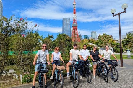 Tokyo Guided E-Bike Tour Hidden Streets and Local Neighborhoods