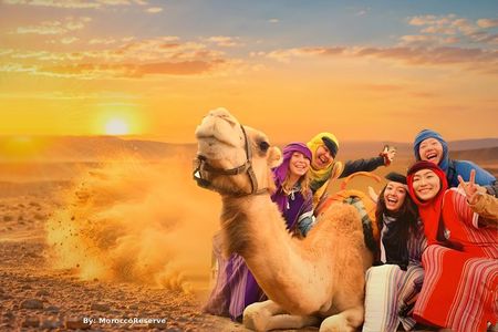 Marrakech: Agafay Desert Sunset to Stars, Camel Ride, Dinner Show