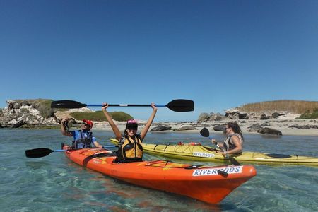 Seal and Penguin Islands Sea Kayak Day Tour