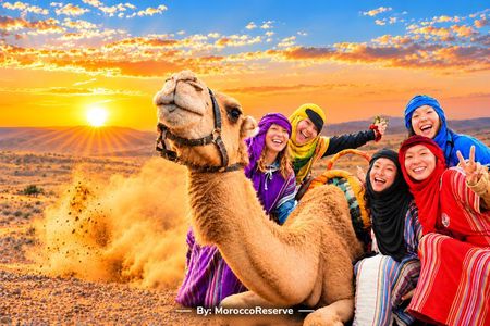 Marrakech: Agafay Desert Sunset to Stars, Camel Ride, Dinner Show