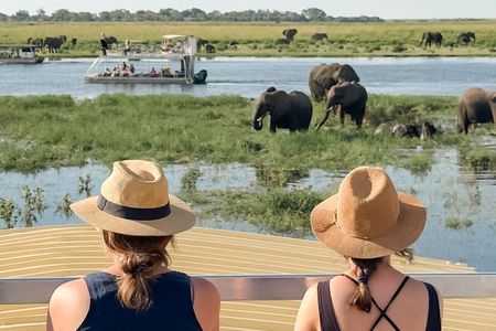 Chobe National Park Small Group Day Safari from Victoria Falls
