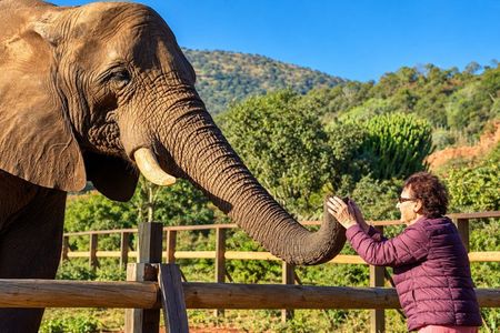 Elephant & Monkey Sanctuary Tour from Johannesburg