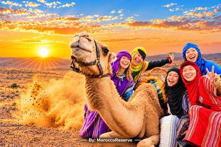 Marrakech: Agafay Desert Sunset to Stars, Camel Ride, Dinner Show