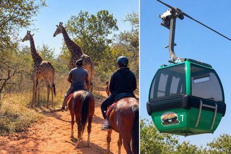 Horseback Safari & Cable Car Ride from Johannesburg
