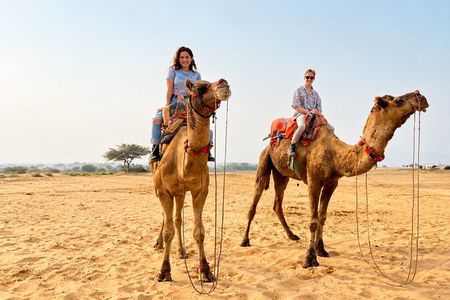 Pushkar Day Trip from Jaipur – Private Car, Safari, Guide & Lunch