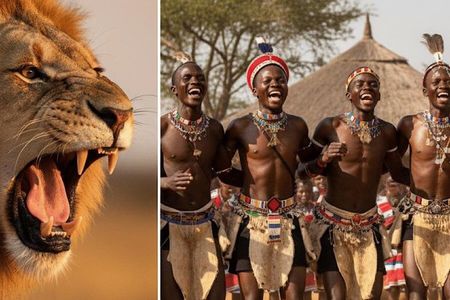 Lion Safari & Lesedi Cultural Village Tour from Johannesburg