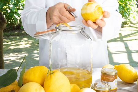 Guided tour of a historic lemon grove in Sorrento