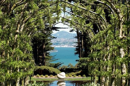 Guided Dunedin City & Otago Peninsula Small Group Tour