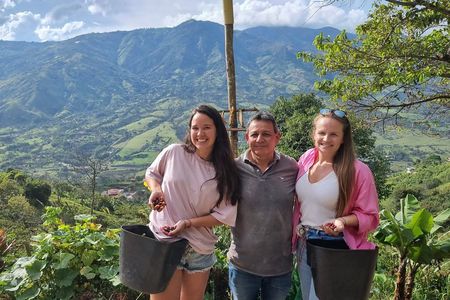 Coffee & Chocolate Private Tour in Medellin: Genuine Experience