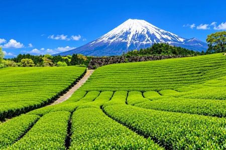 Shimizu, Shizuoka: Private Custom Tour with Local Guide