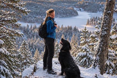 Oslo Scenic Forest Hike with Dog and Local Guide