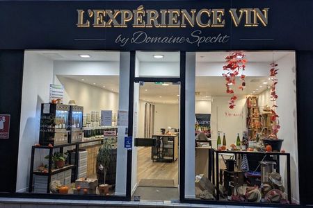 Wine and Gastronomy tasting in Colmar - The Signature Experience