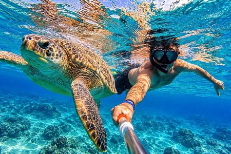 Sea Turtles Marsa Mubarak, Boat trip with Snorkeling-Marsa Alam