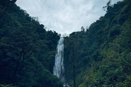 Materuni Waterfalls Hike and Organic Coffee Brewing Half day Tour
