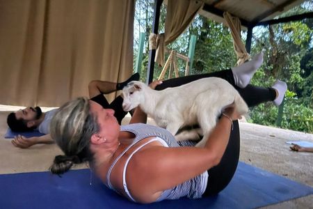 Private Goat Yoga Class