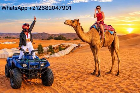 Merzouga quad bike & sandboarding