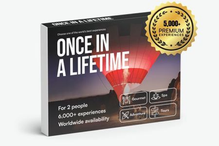 Once in a Lifetime 🌟 Limited Edition