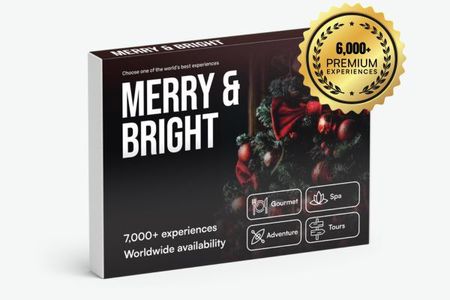Merry & Bright 🎀 Limited Edition