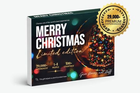 Merry Christmas 🔷 Limited Edition