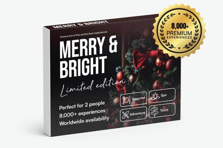 Merry & Bright 🎀 Limited Edition