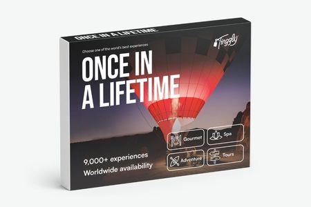 Once in a Lifetime