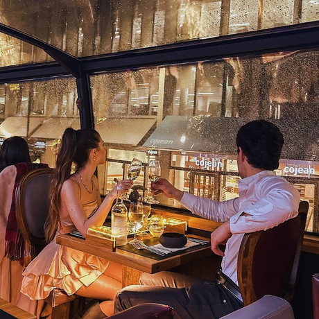 Gourmet Dinner on a Glass-Roof Bus NYC