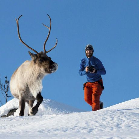 Arctic nature tour