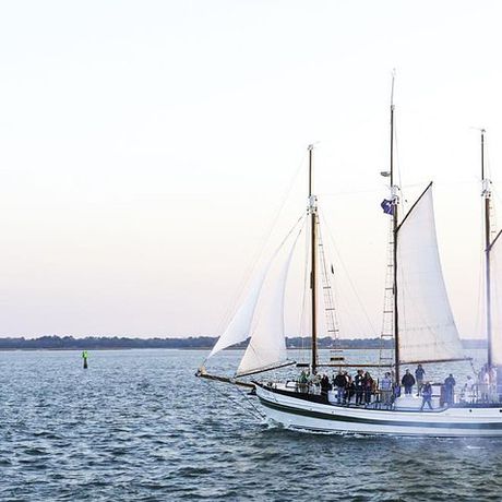 Afternoon Schooner Sightseeing Dolphin Cruise