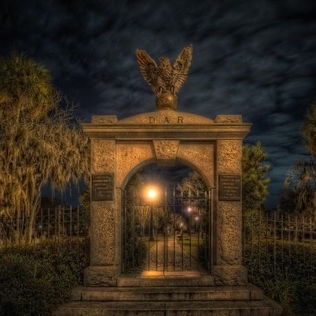 Savannah Beyond Good & Evil Tour