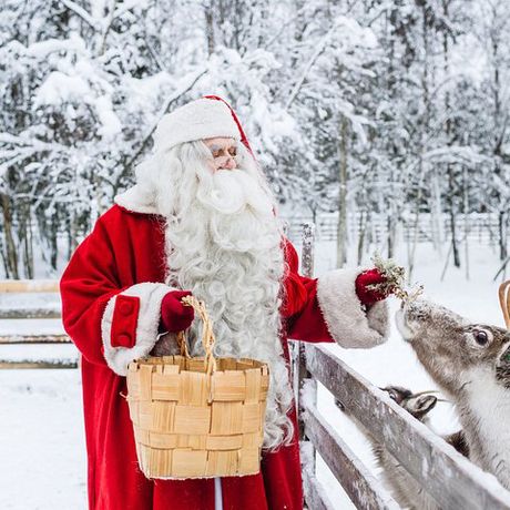 Trip to Arctic Circle, Santa Claus Village and Santas Reindeer