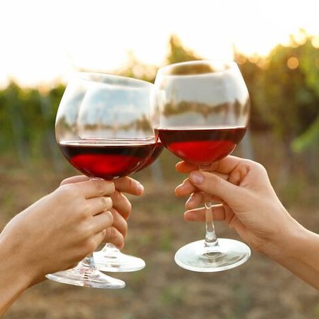 Canandaigua Wine Trail Experience