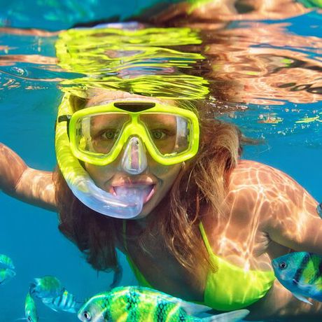 Happy Birthday collection