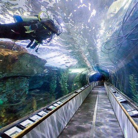 Adventure Awaits collection