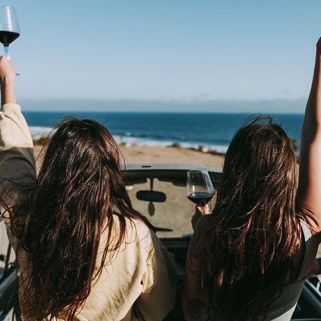 Los Angeles: Private Vintage VW Bus Tour in Malibu