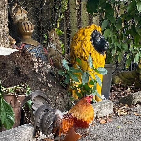 Little Havana Walking Tour for History Buffs