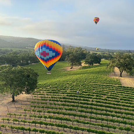Wine Country Join-in Flight 