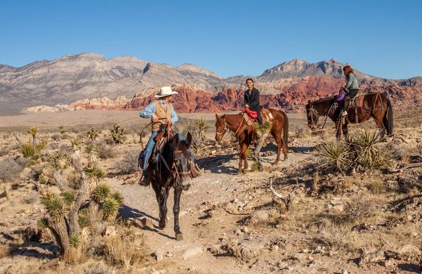 Cowboy Experience in the Red Rock Canyon near Las Vegas