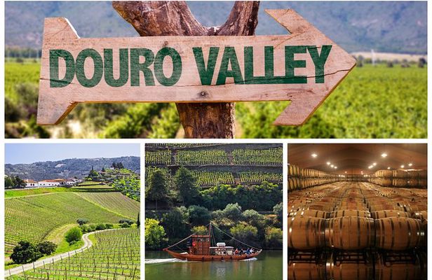 Douro Valley Tour: Wine Tasting, River Cruise and Lunch From Porto